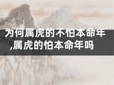 为何属虎的不怕本命年,属虎的怕本命年吗