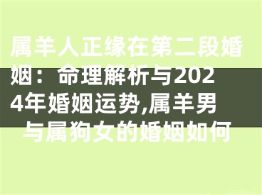 属羊人正缘在第二段婚姻：命理解析与2024年婚姻运势,属羊男与属狗女的婚姻如何