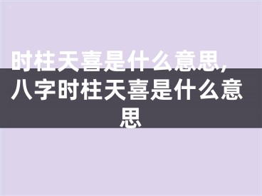 时柱天喜是什么意思,八字时柱天喜是什么意思