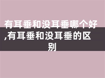 有耳垂和没耳垂哪个好,有耳垂和没耳垂的区别