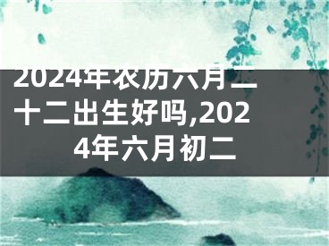 2024年农历六月二十二出生好吗,2024年六月初二