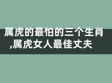 属虎的最怕的三个生肖,属虎女人最佳丈夫
