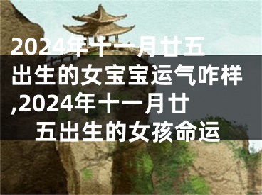 2024年十一月廿五出生的女宝宝运气咋样,2024年十一月廿五出生的女孩命运