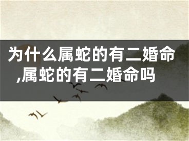 为什么属蛇的有二婚命,属蛇的有二婚命吗