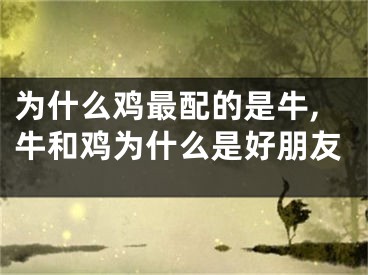 为什么鸡最配的是牛,牛和鸡为什么是好朋友