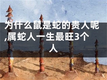 为什么鼠是蛇的贵人呢,属蛇人一生最旺3个人