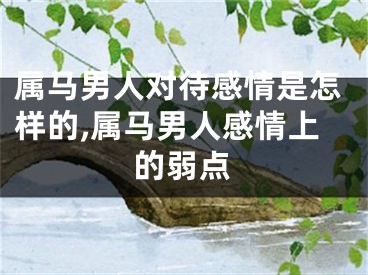 属马男人对待感情是怎样的,属马男人感情上的弱点