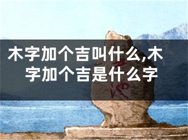 木字加个吉叫什么,木字加个吉是什么字