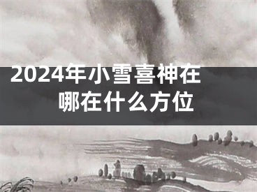 2024年小雪喜神在哪在什么方位