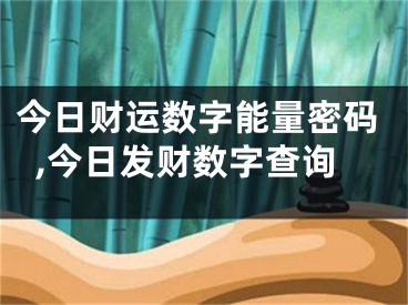 今日财运数字能量密码,今日发财数字查询