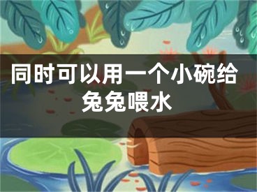 同时可以用一个小碗给兔兔喂水