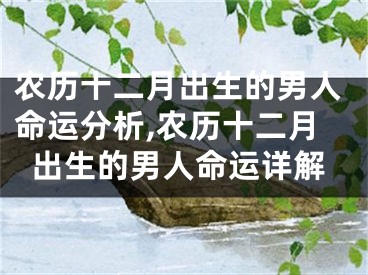 农历十二月出生的男人命运分析,农历十二月出生的男人命运详解