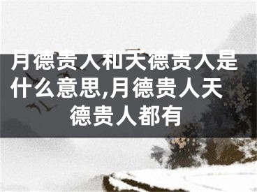 月德贵人和天德贵人是什么意思,月德贵人天德贵人都有