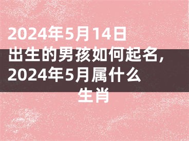 2024年5月14日出生的男孩如何起名,2024年5月属什么生肖