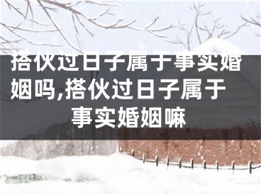 搭伙过日子属于事实婚姻吗,搭伙过日子属于事实婚姻嘛