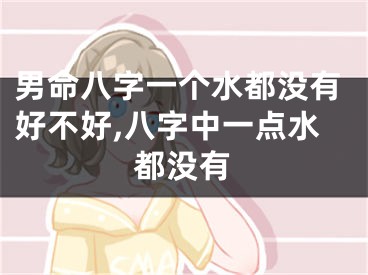 男命八字一个水都没有好不好,八字中一点水都没有