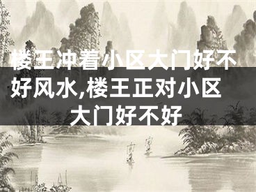 楼王冲着小区大门好不好风水,楼王正对小区大门好不好