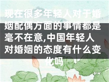 现在很多年轻人对于婚姻配偶方面的事情都是毫不在意,中国年轻人对婚姻的态度有什么变化吗