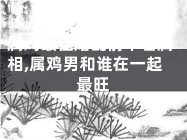 属鸡最佳婚配前十名属相,属鸡男和谁在一起最旺