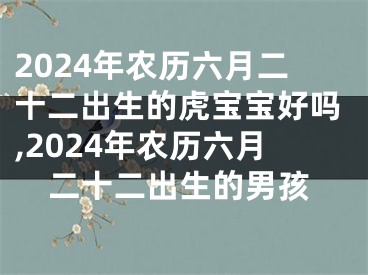 2024年农历六月二十二出生的虎宝宝好吗,2024年农历六月二十二出生的男孩