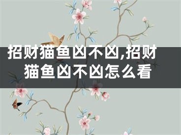 招财猫鱼凶不凶,招财猫鱼凶不凶怎么看