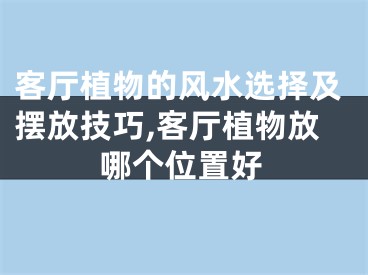 客厅植物的风水选择及摆放技巧,客厅植物放哪个位置好