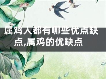 属鸡人都有哪些优点缺点,属鸡的优缺点