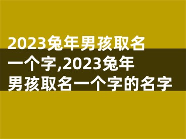 2023兔年男孩取名一个字,2023兔年男孩取名一个字的名字
