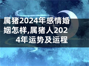 属猪2024年感情婚姻怎样,属猪人2024年运势及运程