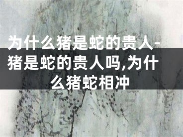 为什么猪是蛇的贵人-猪是蛇的贵人吗,为什么猪蛇相冲