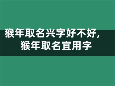 猴年取名兴字好不好,猴年取名宜用字
