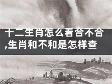 十二生肖怎么看合不合,生肖和不和是怎样查