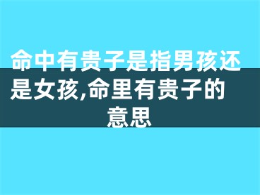 命中有贵子是指男孩还是女孩,命里有贵子的意思