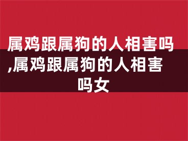 属鸡跟属狗的人相害吗,属鸡跟属狗的人相害吗女