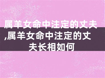 属羊女命中注定的丈夫,属羊女命中注定的丈夫长相如何