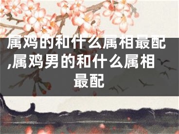 属鸡的和什么属相最配,属鸡男的和什么属相最配