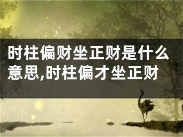 时柱偏财坐正财是什么意思,时柱偏才坐正财