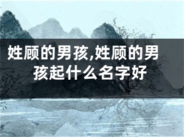 姓顾的男孩,姓顾的男孩起什么名字好