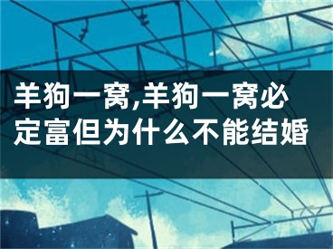 羊狗一窝,羊狗一窝必定富但为什么不能结婚