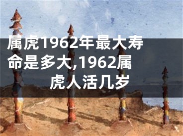 属虎1962年最大寿命是多大,1962属虎人活几岁
