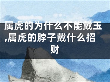 属虎的为什么不能戴玉,属虎的脖子戴什么招财