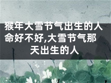 猴年大雪节气出生的人命好不好,大雪节气那天出生的人