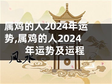 属鸡的人2024年运势,属鸡的人2024年运势及运程
