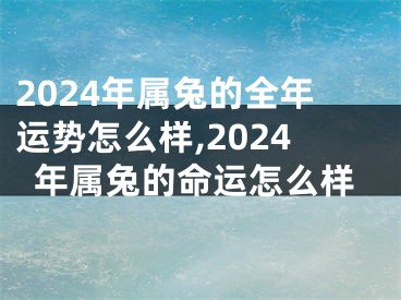 2024年属兔的全年运势怎么样,2024年属兔的命运怎么样
