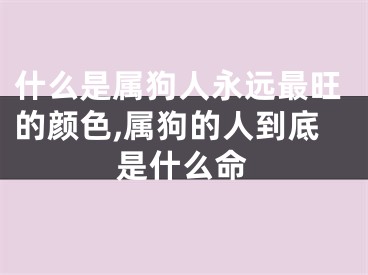 什么是属狗人永远最旺的颜色,属狗的人到底是什么命