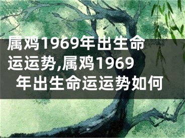 属鸡1969年出生命运运势,属鸡1969年出生命运运势如何