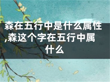森在五行中是什么属性,森这个字在五行中属什么