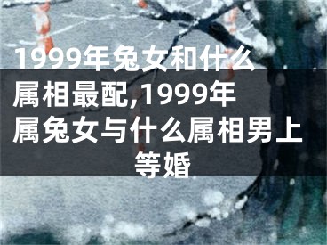 1999年兔女和什么属相最配,1999年属兔女与什么属相男上等婚