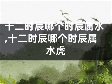 十二时辰哪个时辰属水,十二时辰哪个时辰属水虎