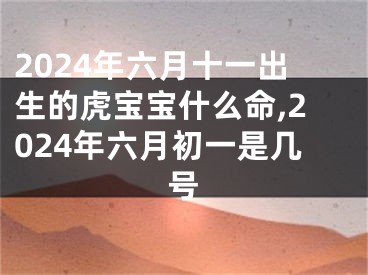 2024年六月十一出生的虎宝宝什么命,2024年六月初一是几号